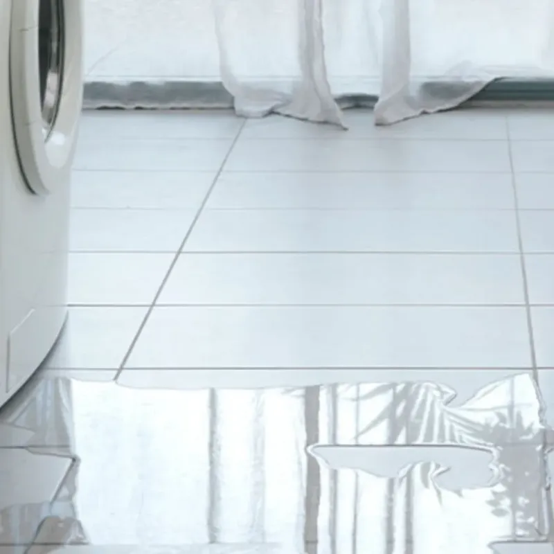 Appliance Leak Cleanup in Lexington, IL