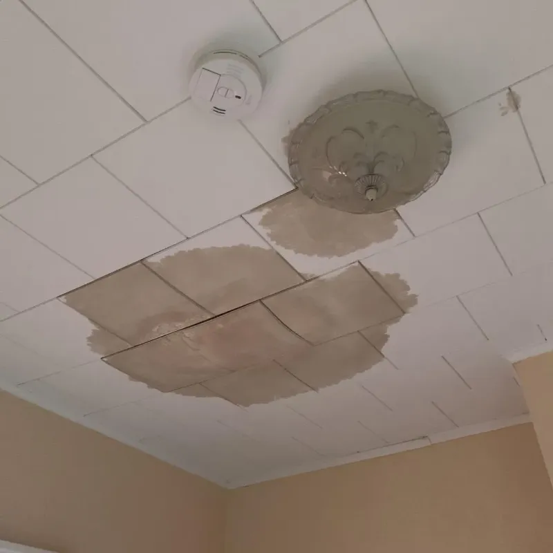 Ceiling Water Damage Repair in Lexington, IL