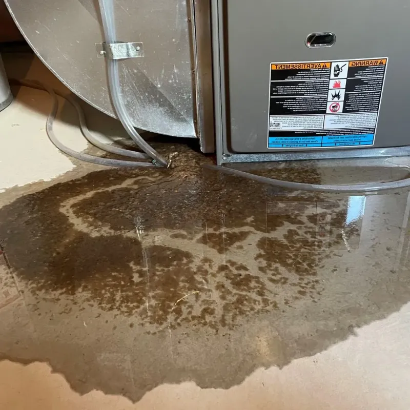Pipe Burst and Leak Restoration in Lexington, IL