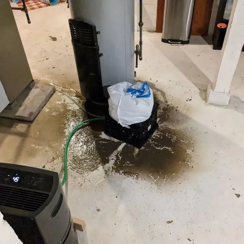 Sewage Backup Cleanup Service in Lexington, IL